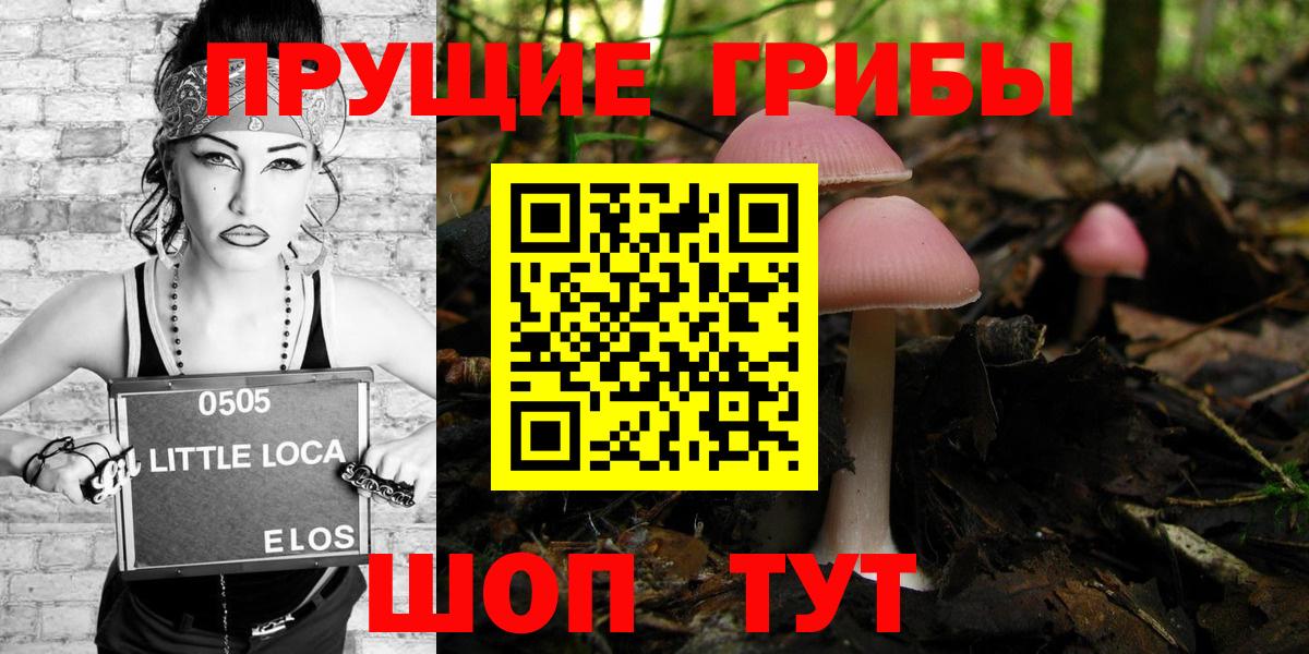 как найти закладки  Псилоцибиновые грибы Magic Shrooms  Радужный  Вход с VPN  Псилоцибиновые грибы мицелий 